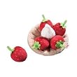 HABA Food Strawberry Tartlet