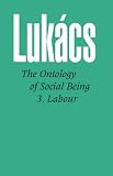 Ontology of Social Being: Labour Pt. 3 (Ontology of Social Being Vol. 3)