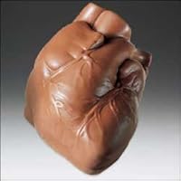 Anatomically Correct Milk Chocolate Heart