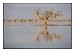 A Tree in the Coongie Lakes Wetlands is Reflected on the Waters Surface Photographic Poster Print by Jason Edwards, 24x18