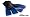 Aqua Sphere Zip Fitness Fin, Small(3-6), Blue with Black Trim