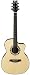 Ibanez Acoustic Electric Guitar A100ENT