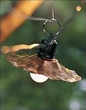 Huntington Lighting 102 Galvi 50 Foot String Light with 10 Galvanized Steel Shades