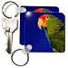 Green Cheeked Amazon Parrot - Set Of 2 Key Chains