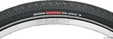 Schwalbe Big Apple HS 430 Fatty Bicycle Tire (28×2.35, Allround Wire Beaded, Reflex) Picture