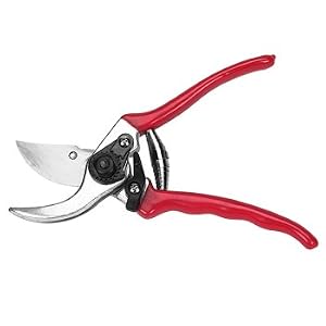 Professional Bypass Pruners by