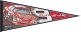Dale Earnhardt Jr. Nascar Racing Pennant