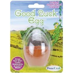 Good Luck Egg Micro-Terrarium by DUNE CRAFT