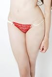 Mimi Holliday Bisou Bisou Rouge Lace Brief