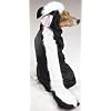 Casual Canine 24-Inch Polyester Little Stinker Skunk Dog Costume, X-Large, Black/White