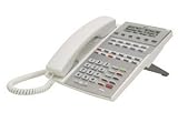 PHONE DSX 22Button Display WH