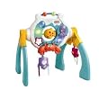 Little Tikes Musical Motion Ocean Gym
