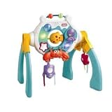 Little Tikes Musical Motion Ocean Gym