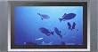 Sony KE-42MR1 42" Plasma Wega television