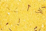 Review The Meadow  / Saffron Salt - Sea Salt Blended with Saffron