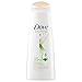 Dove Nutritive Solutions Shampoo, Cool Moisture 12 oz (Pack of 2)