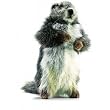 Baby Marmot (Groundhog) Stuffed Animal Plush Toy by Hansa