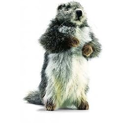 Baby Marmot (Groundhog) Stuffed Animal Plush Toy by Hansa