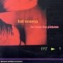Far From The Pictures ~ Kat Onoma