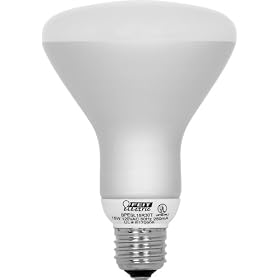 Feit Electric ESL15R30TMM 15-Watt Compact Fluorescent R30 Reflector Bulb (65-Watt... by Feit Electric