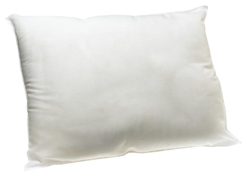 Lady Pepperell Standard Bed Pillow, 20-inch By 26-inch