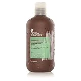 Pangea Organics Egyptian Basil & Mint 250ml/8.5oz Shower Gel