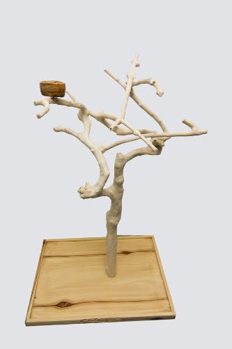 Tree Stand with Base Medium