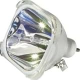 Electrified P-VIP 100-120W 10 sale price