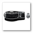 Microsoft Wireless Optical Desktop 3.0 Comfort Edition - Keyboard - wireless ( RF ) - 104 keys - Yes - mouse - RF USB / PS/2 receiver - PS/2, USB - OEM (pack of 3 )