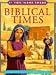Books : Biblical Times (If You Were There)