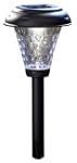 Moonrays 91380 Payton Style Solar Pla...