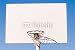Wallmonkeys Peel and Stick Wall Decals - Basketball Hoop - Removable Graphic