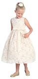 New Ivory Flower Embroidered Lace Flower Girl Dress 2 to 12 Girls