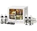 Lorex SG14Q5384UQ-A 14-inch Color 2-page / 8-channel Quad Observation System with Web-ready Software and 4 Cameras