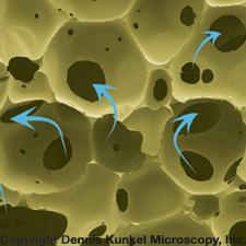 Open Cell Memory Foam