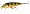 Perch