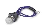 SPEEDO LIGHT SOCKET - Biker