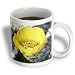 Taiche - Photography - Cacti - Opuntia Ficus Indica - cacti, cactus, flower, food, fruit, prickly pear, tunas - Mugs