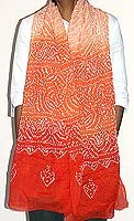 Womens Spring Clothes Accessory Neck Scarf Cotton Tie and Dye 88 x 40 inches (dup275)