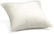 Oxford Garden 15-Inch Square Throw Pillow, Natural