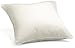 Oxford Garden 15-Inch Square Throw Pillow, Natural