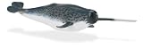 Monterey Bay: Narwhal
