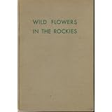 Wild flowers in the Rockies