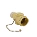 Leviton 1406-I 660 Watt, 125 Volt, Two Outlet With Pull Chain Socket Adapter, Ivory