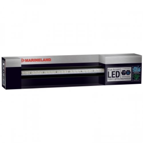 ACCENT LED LIGHTING SYSTEM ACCENT LED LIGHTING SYSTEM