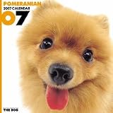 THE DOG ポメラニアン 2007年 カレンダー