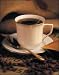 Coffee of the Month Club - 6 months ground