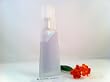 Adidas Moves By Adidas For Women. Eau De Toilette Spray 1.0 Oz.