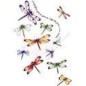 Dragonflies Adult Sweatshirt