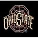 Ohio State Buckeyes LED Team Logo Light